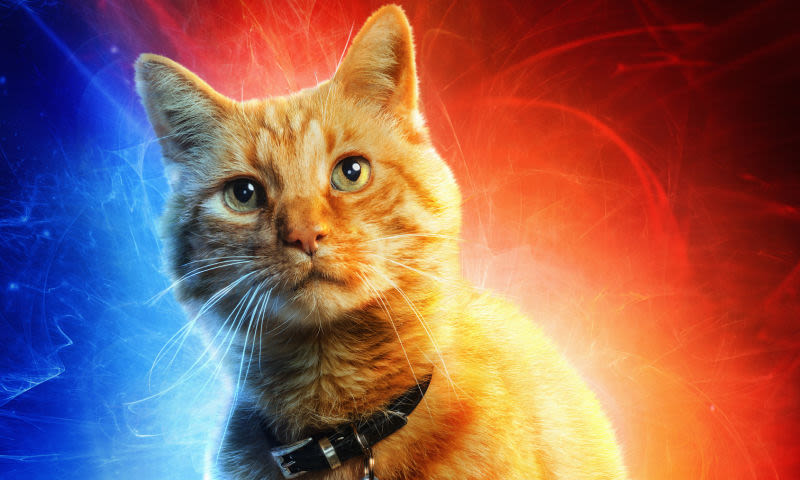 Illustration for article titled Captain Marvel: todo lo que necesitas saber sobre la película que servirá de prólogo a Avengers: Endgame